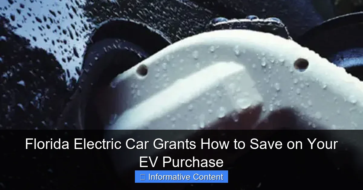 Florida Electric Car Grants How to Save on Your EV Purchase
