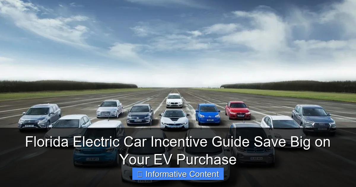 Florida Electric Car Incentive Guide Save Big on Your EV Purchase