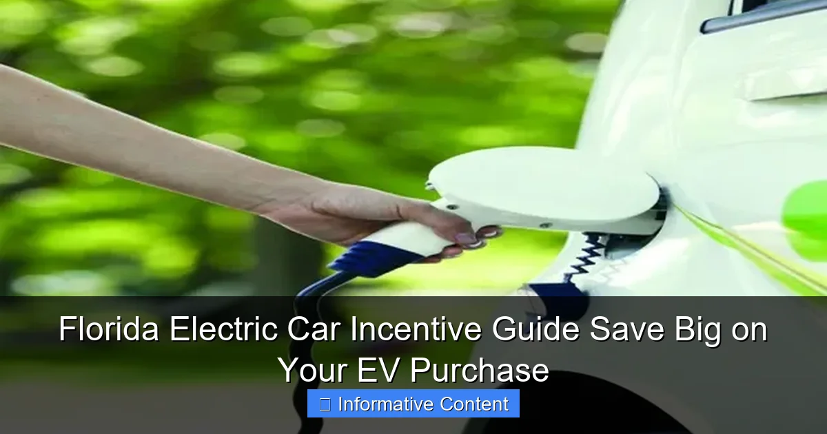 Florida Electric Car Incentive Guide Save Big on Your EV Purchase