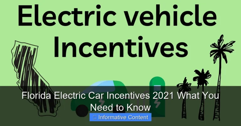 Florida Electric Car Incentives 2021 What You Need to Know