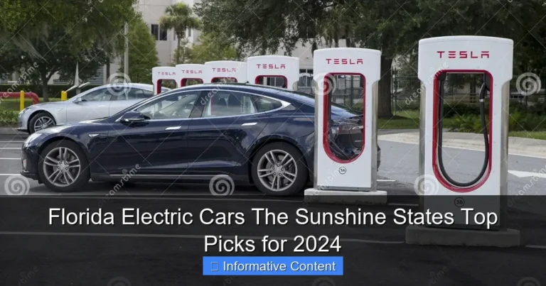 Florida Electric Cars The Sunshine States Top Picks for 2024