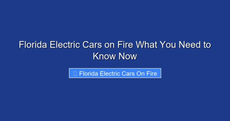 Florida Electric Cars on Fire What You Need to Know Now