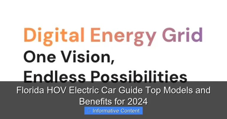 Florida HOV Electric Car Guide Top Models and Benefits for 2024