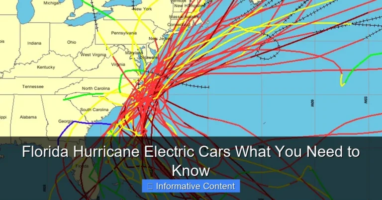 Florida Hurricane Electric Cars What You Need to Know