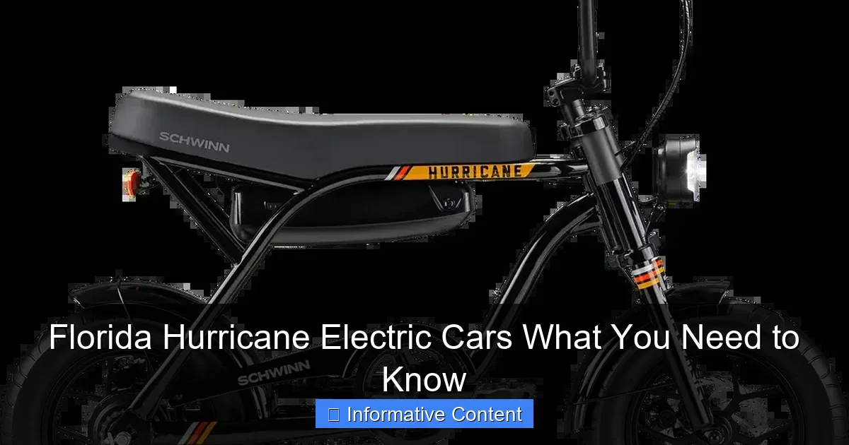 Florida Hurricane Electric Cars What You Need to Know
