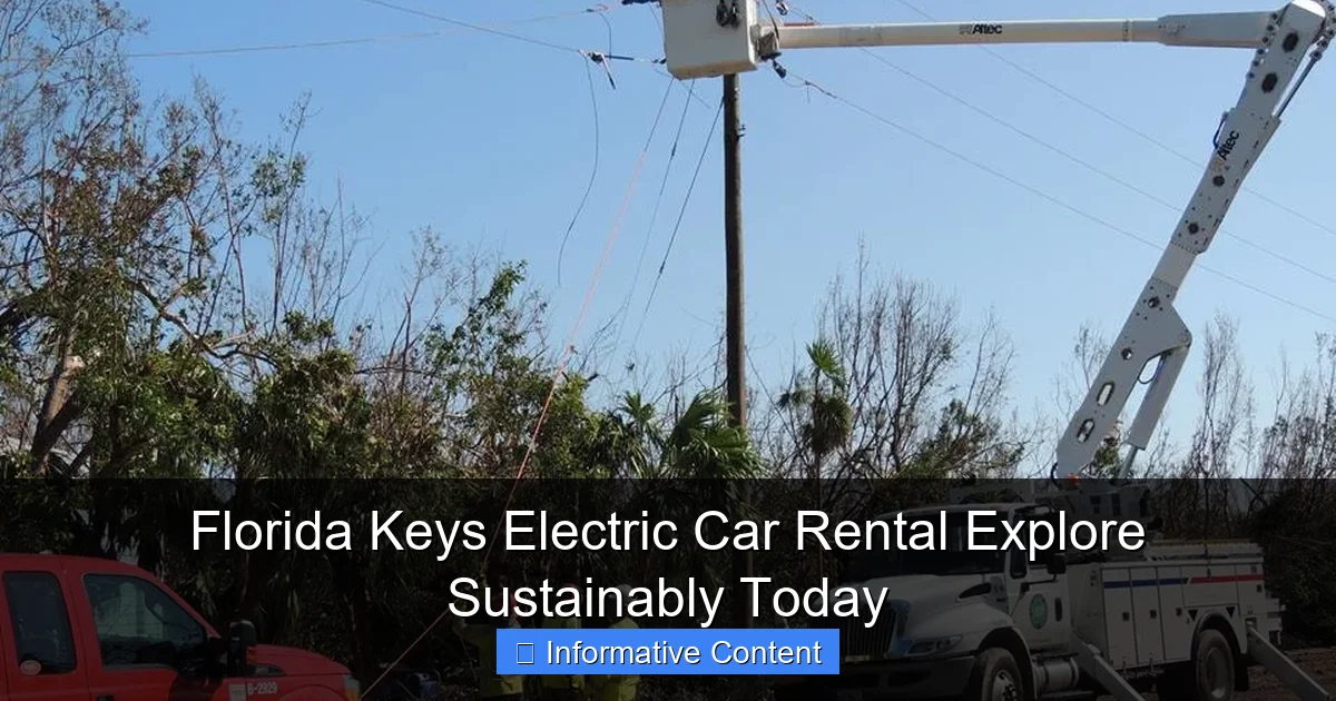 Florida Keys Electric Car Rental Explore Sustainably Today