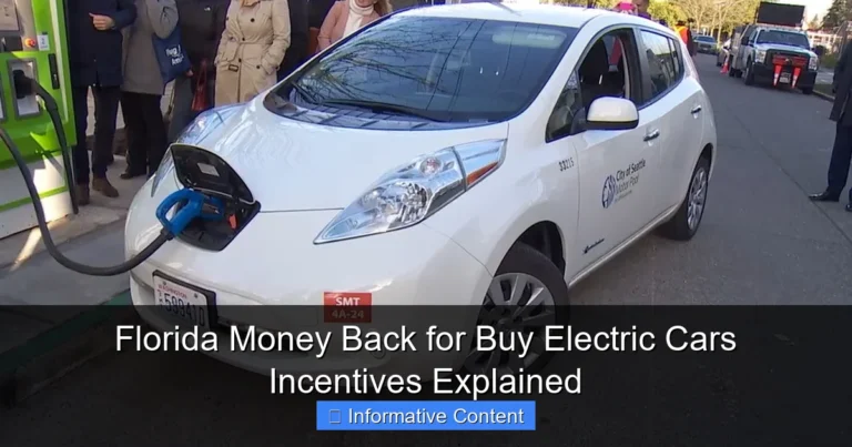 Florida Money Back for Buy Electric Cars Incentives Explained