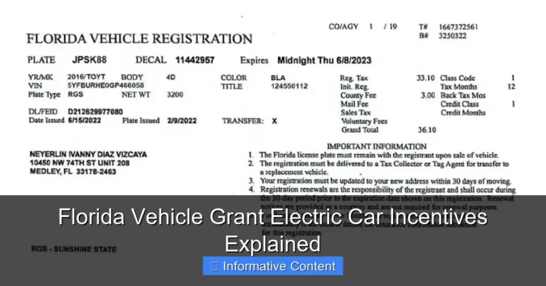 Florida Vehicle Grant Electric Car Incentives Explained