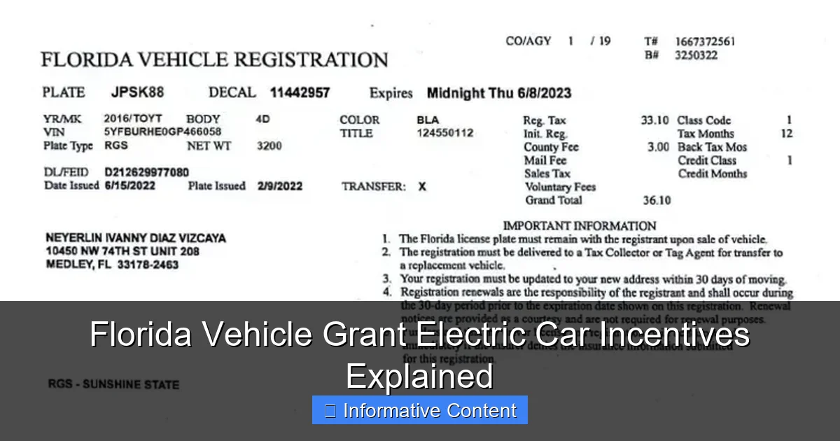 Florida Vehicle Grant Electric Car Incentives Explained