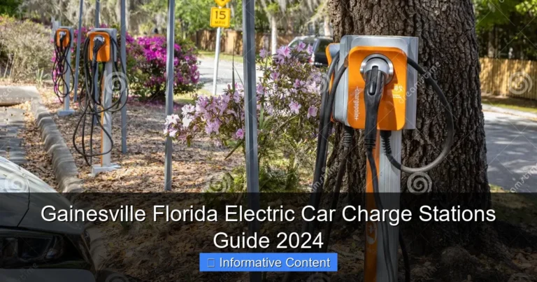 Gainesville Florida Electric Car Charge Stations Guide 2024
