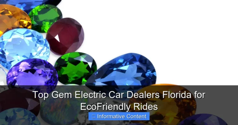 Top Gem Electric Car Dealers Florida for EcoFriendly Rides