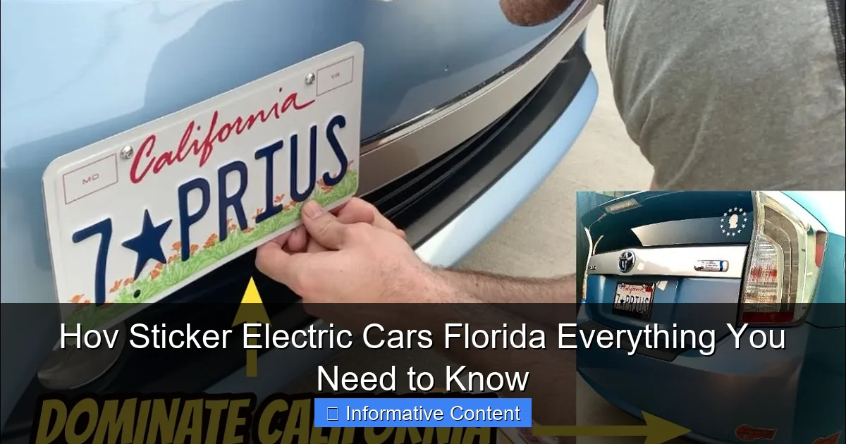 Hov Sticker Electric Cars Florida Everything You Need to Know
