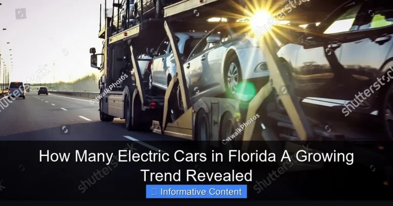 How Many Electric Cars in Florida A Growing Trend Revealed