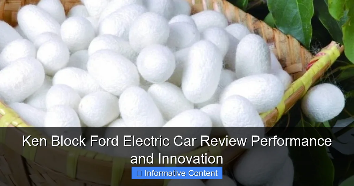 Ken Block Ford Electric Car Review Performance and Innovation