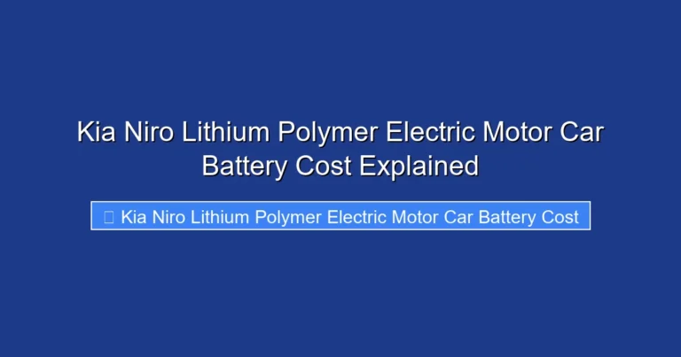 Kia Niro Lithium Polymer Electric Motor Car Battery Cost Explained