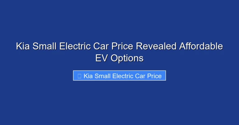 Kia Small Electric Car Price Revealed Affordable EV Options