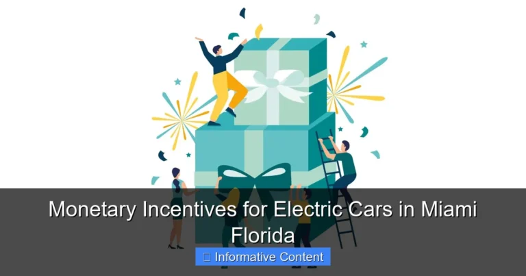 Monetary Incentives for Electric Cars in Miami Florida