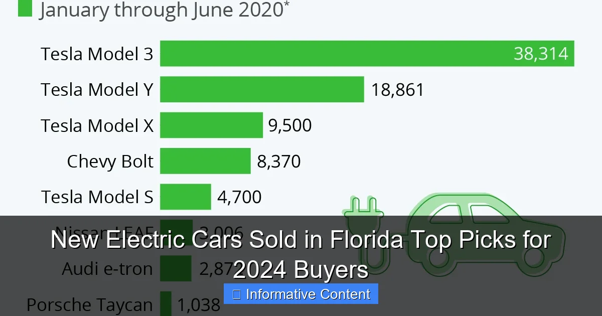 New Electric Cars Sold in Florida Top Picks for 2024 Buyers