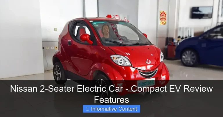 Nissan 2-Seater Electric Car - Compact EV Review Features