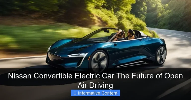 Nissan Convertible Electric Car The Future of Open Air Driving