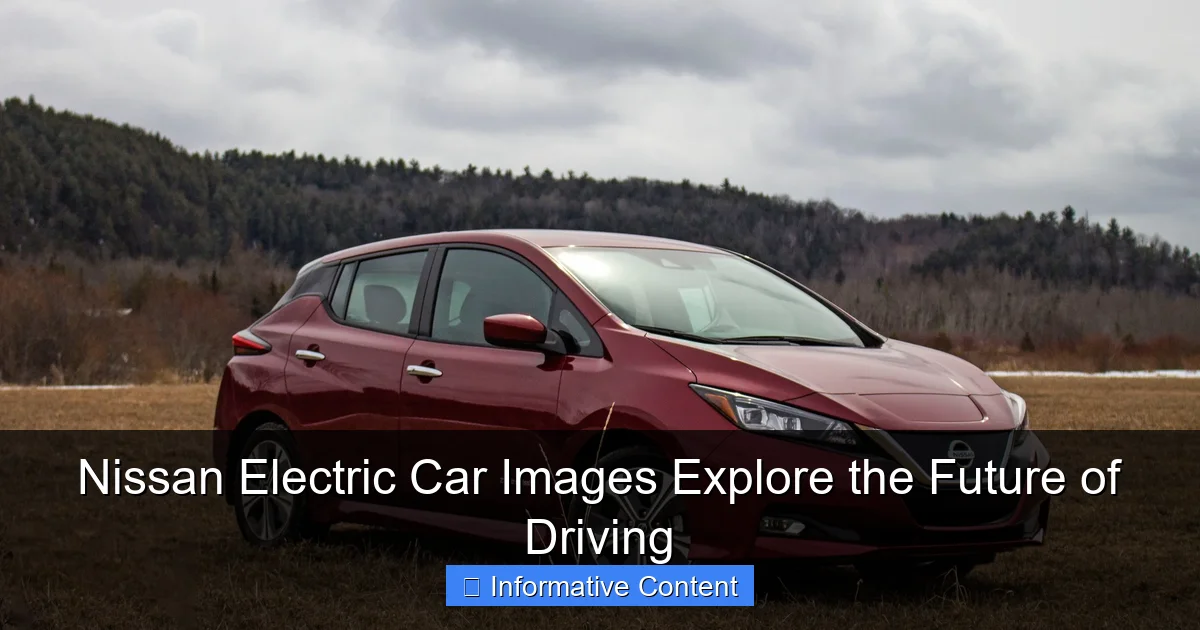 Nissan Electric Car Images Explore the Future of Driving