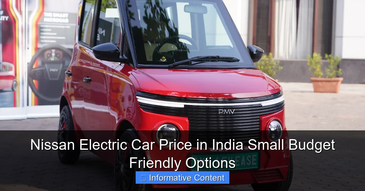 Nissan Electric Car Price in India Small Budget Friendly Options