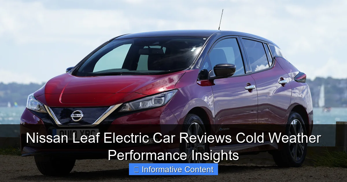 Nissan Leaf Electric Car Reviews Cold Weather Performance Insights