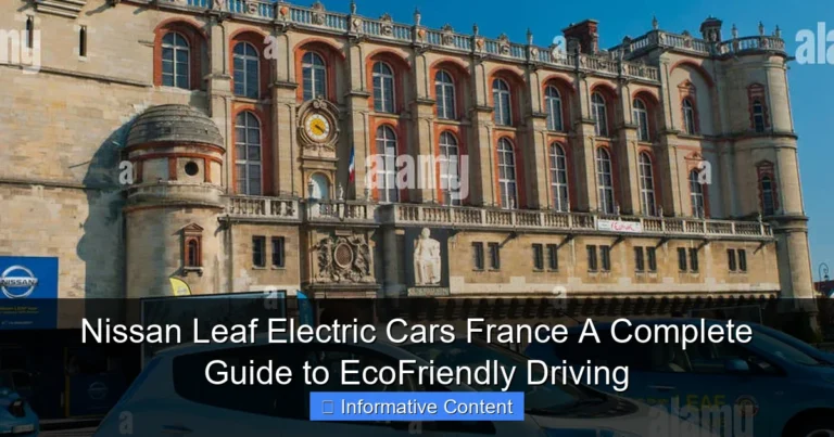 Nissan Leaf Electric Cars France A Complete Guide to EcoFriendly Driving