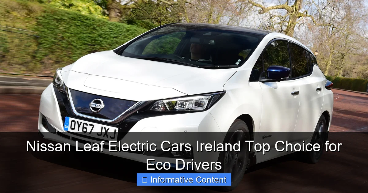 Nissan Leaf Electric Cars Ireland Top Choice for Eco Drivers