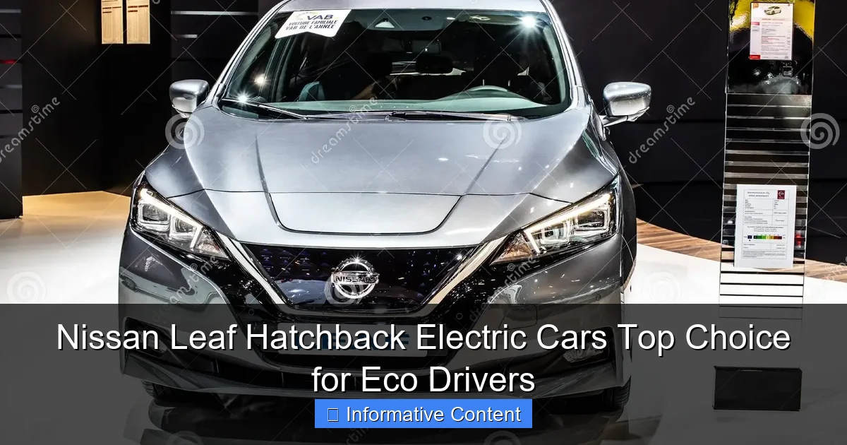Nissan Leaf Hatchback Electric Cars Top Choice for Eco Drivers