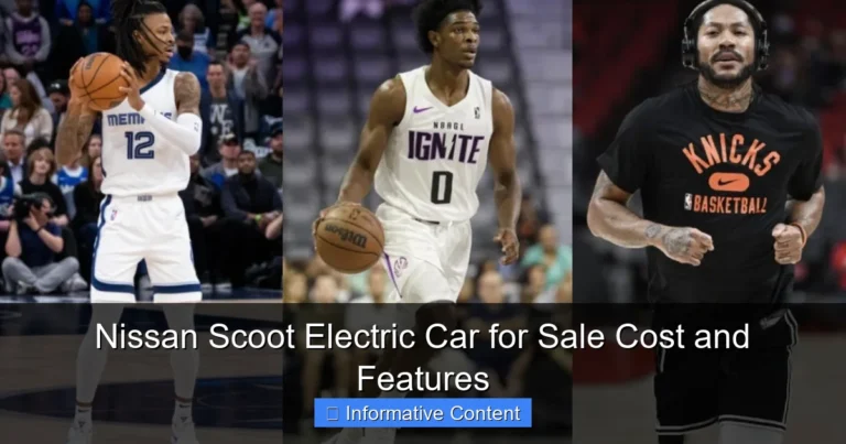 Nissan Scoot Electric Car for Sale Cost and Features