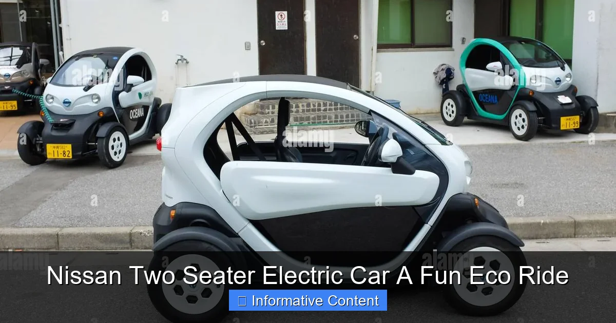Nissan Two Seater Electric Car A Fun Eco Ride