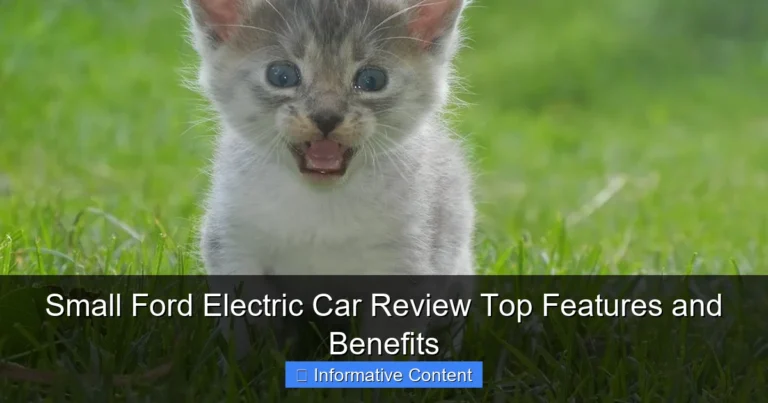 Small Ford Electric Car Review Top Features and Benefits