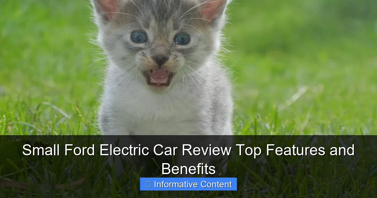 Small Ford Electric Car Review Top Features and Benefits