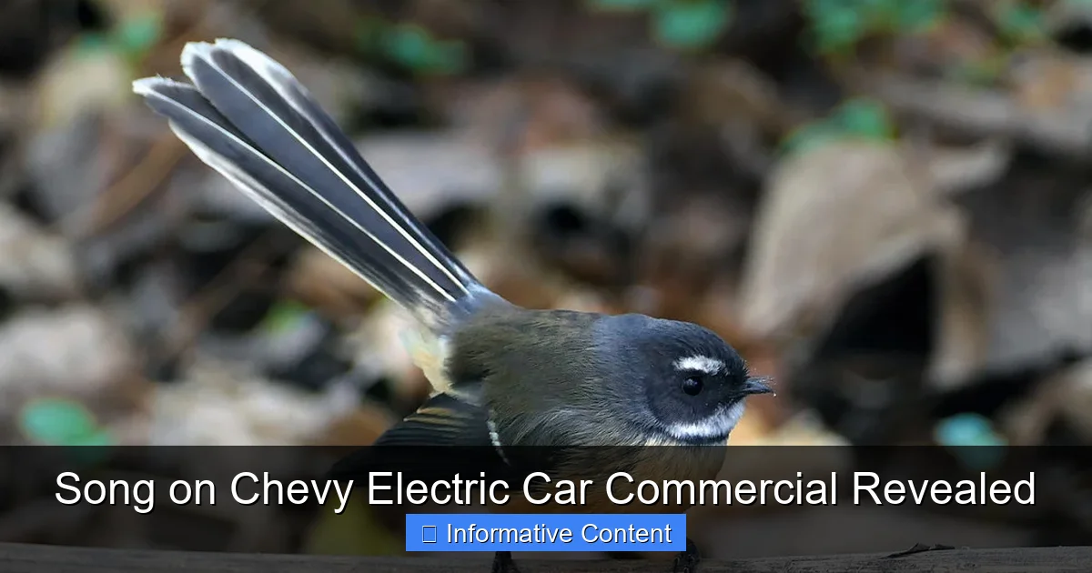 Song on Chevy Electric Car Commercial Revealed