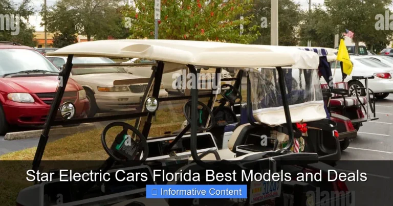 Star Electric Cars Florida Best Models and Deals