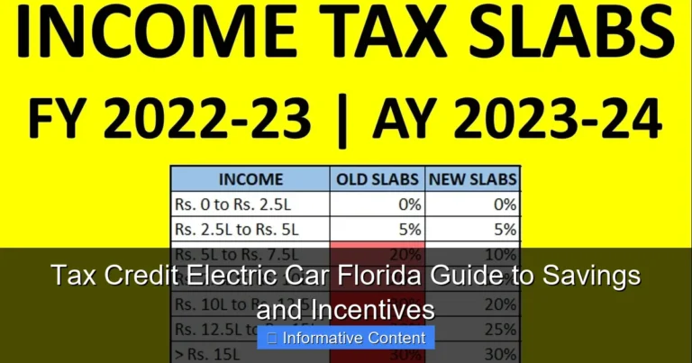 Tax Credit Electric Car Florida Guide to Savings and Incentives