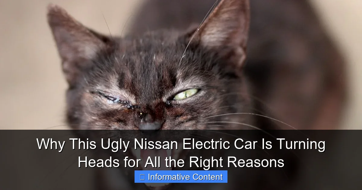 Why This Ugly Nissan Electric Car Is Turning Heads for All the Right Reasons