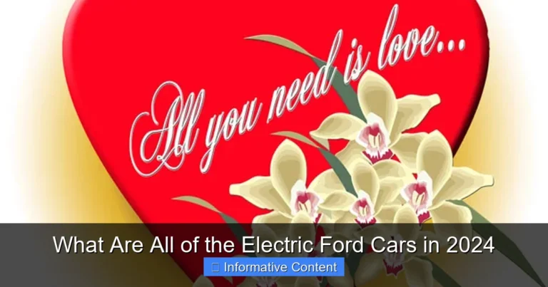 What Are All of the Electric Ford Cars in 2024