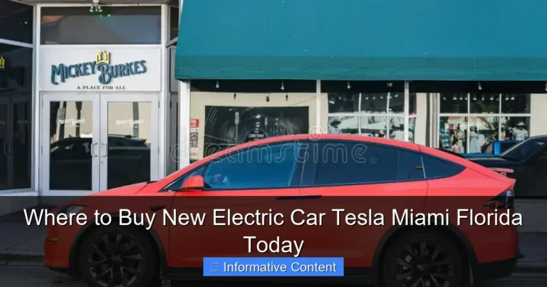 Where to Buy New Electric Car Tesla Miami Florida Today
