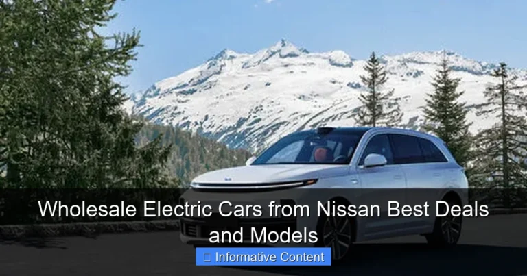 Wholesale Electric Cars from Nissan Best Deals and Models