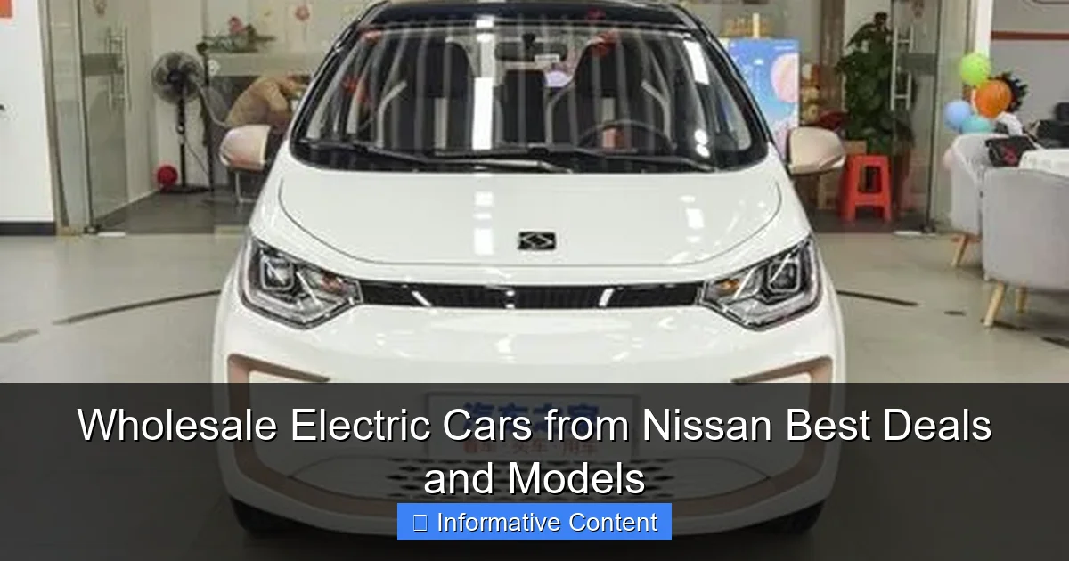 Wholesale Electric Cars from Nissan Best Deals and Models